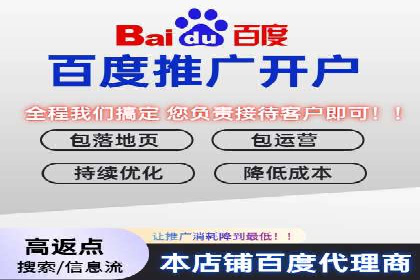 某知名企业SEM营销全案解析